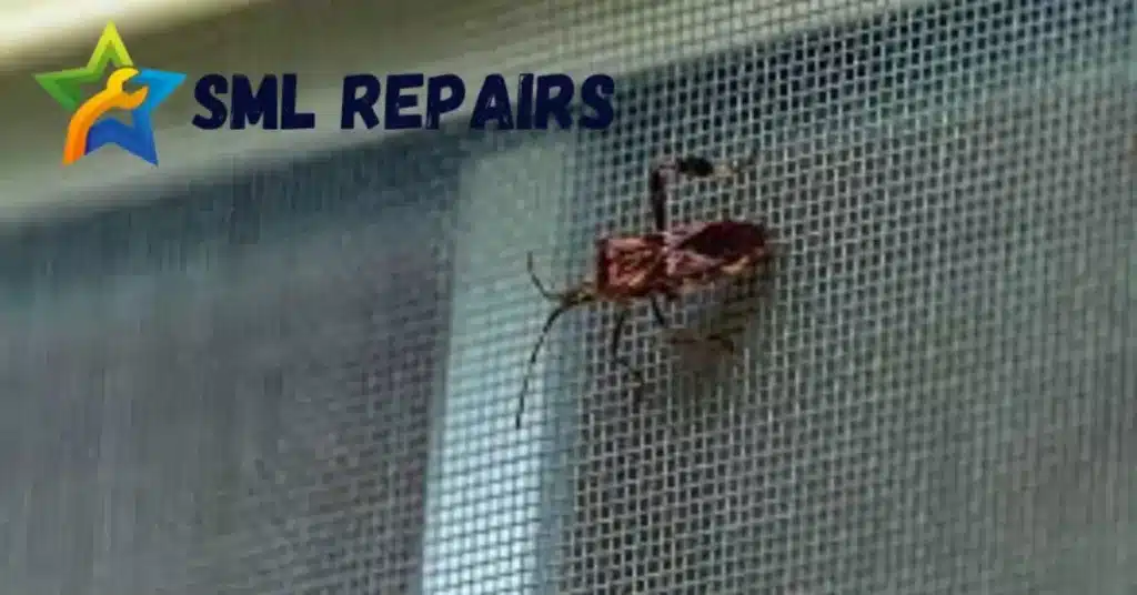 5 Signs Your Fly Screen Needs Repair 