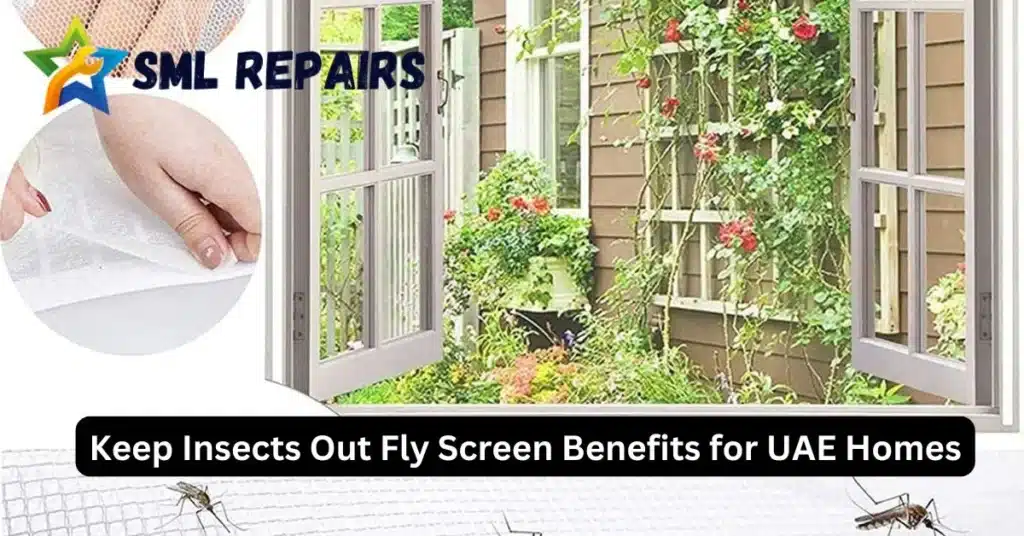 Keep Insects Out: Fly Screen Benefits for UAE Homes