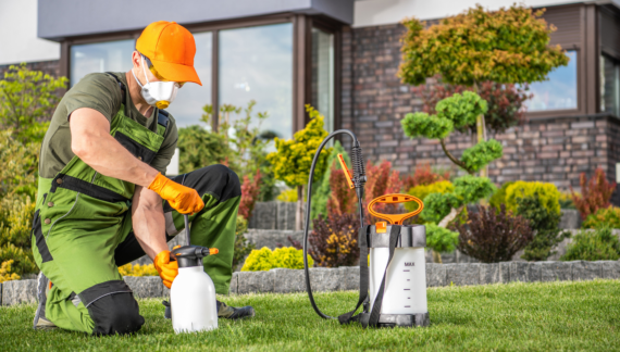 Gardening Services in Al Warqa 3