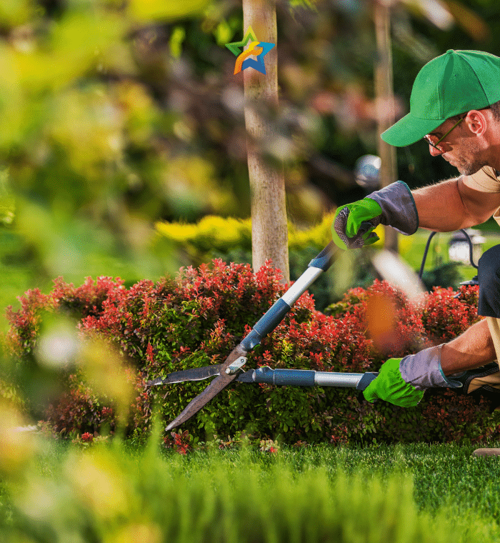 gardening services